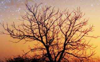 pi: What we know and why it matters