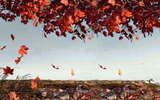 Markets Could Topple the Global Economy: What the Data Actually Says