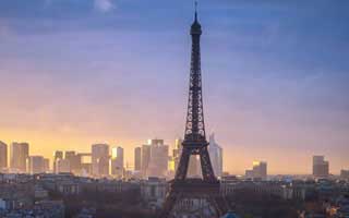 Halda Therapeutics: What's Up With The Stock?