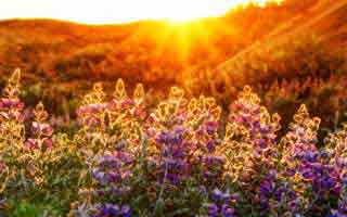 The Crypto ATM Paradox: Scams Threaten a Digital Future: How Smart Vigilance Can Secure Your Innovation